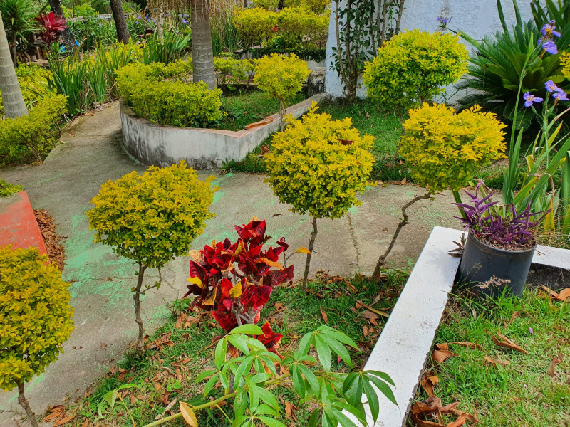 Chácara à venda Dona Catarina com 4767m² e 5 quartos por R$ 670.000 - 1092306481-c6738712-9e11-4b24-9548-65d1e50480f0.JPG