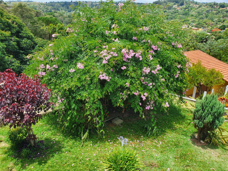 Chácara à venda Dona Catarina com 4767m² e 5 quartos por R$ 670.000 - 1193846605-aa724f1b-8dcb-4d7a-83d8-2d6cdf4e2638.JPG