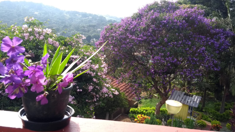 Chácara à venda Dona Catarina com 4767m² e 5 quartos por R$ 670.000 - 856468426-a8849301-5088-4028-a537-93a113fe9d34.JPG