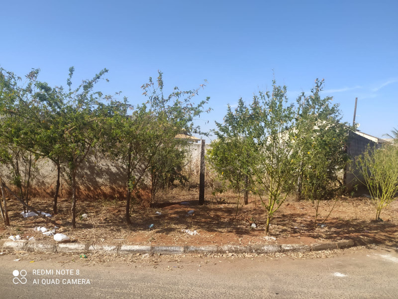 Terreno à venda Vila Cristina com 546m² e 1 quarto por R$ 250.000 - 557069082-08265737-8e1d-403c-92a1-3c52f2ab674a.jpeg