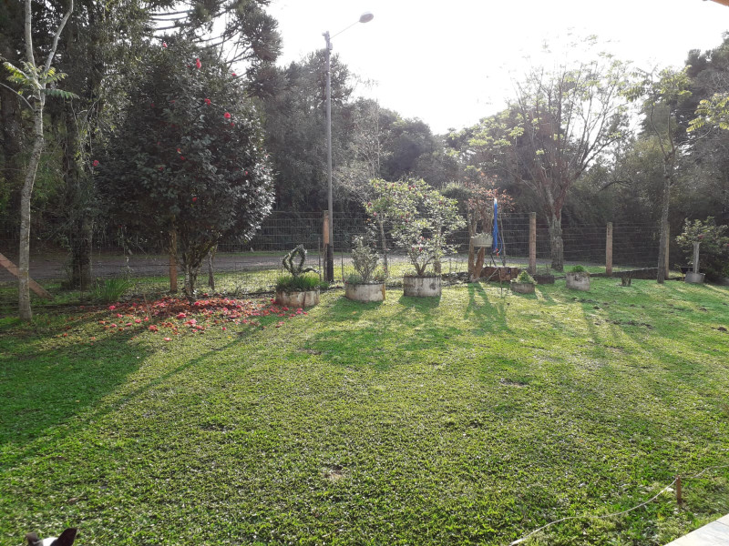 Chácara à venda Centro com 3000m² e 2 quartos por R$ 590.000 - 113797752-whatsapp-image-2022-08-18-at-14.jpeg