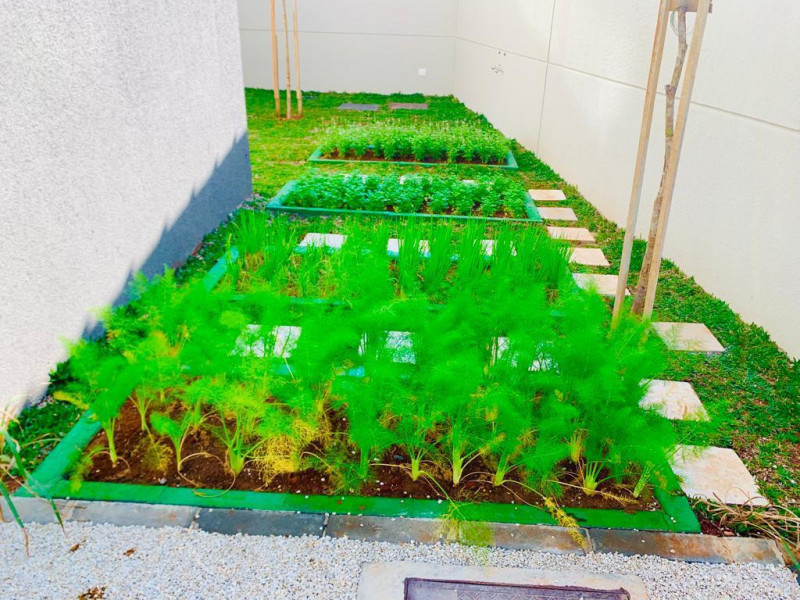 Apartamento à venda Centro com 46m² e 2 quartos por R$ 350.000 - 276898395-0570cc38-d5a8-4e1d-8723-2500efa7fcce.jpeg