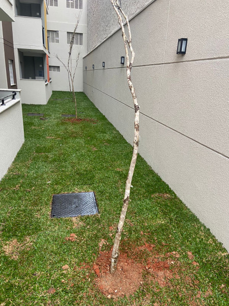 Apartamento à venda Centro com 46m² e 2 quartos por R$ 350.000 - 330034556-00f5ef38-df28-44ef-8576-ad7df89b7253.jpeg