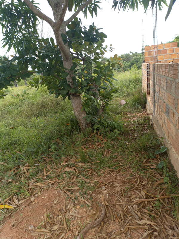 Terreno à venda Amoreira com 200m² e 1 quarto por R$ 25.000 - 1191746199-20220128-160520.jpg