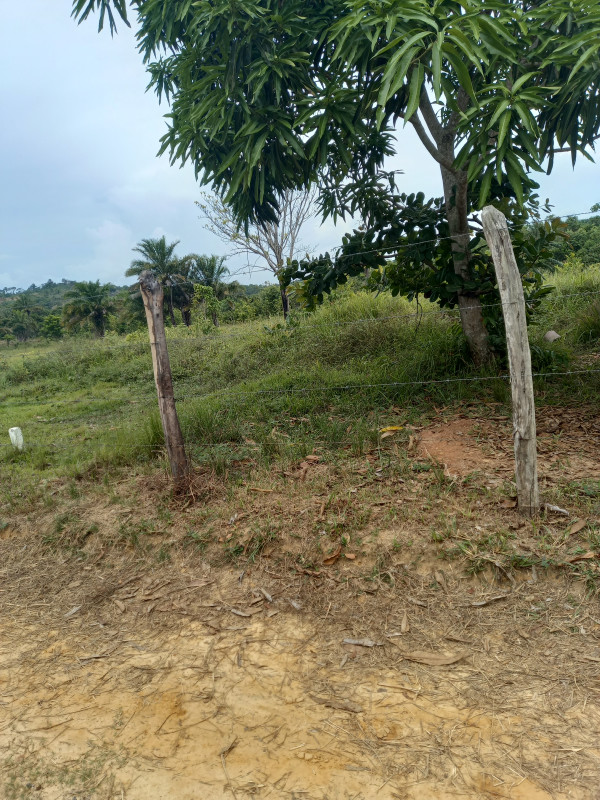 Terreno à venda Amoreira com 200m² e 1 quarto por R$ 25.000 - 1774291844-20220128-161117.jpg