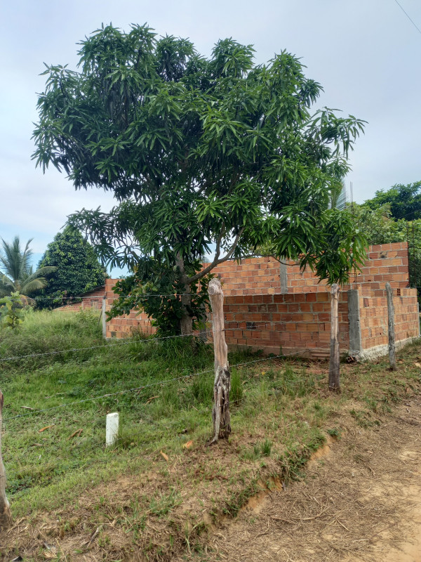 Terreno à venda Amoreira com 200m² e 1 quarto por R$ 25.000 - 392780715-20220128-161135.jpg