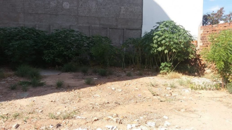 Terreno à venda Santo Antônio com 432m² e 1 quarto por R$ 800.000 - 1461215286-save-20210515-190817.jpg