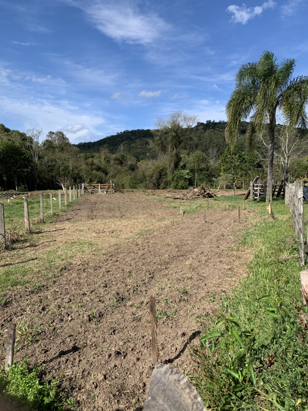 Chácara à venda Centro com 5000m² e 1 quarto por R$ 230.000 - 436335469-27319de8-5335-4822-8c19-0f63e7ad5de8.jpeg