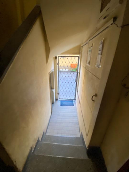 Sítio à venda CENTRO com 73610m² e 2 quartos por R$ 330.000 - 480690124-img-2272.jpeg
