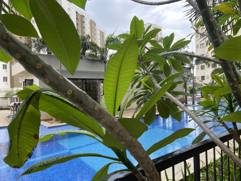 Apartamento à venda Del Castilho com 56m² e 2 quartos por R$ 430.000 - 2012607046-bf55059d-e5d8-4829-b9a1-5f92fe794abe.jpeg