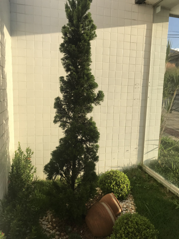 Apartamento à venda Heliópolis com 72m² e 2 quartos por R$ 450.000 - 1935352178-18fdfc24-2ca5-4a8e-9573-6cce13576212.jpeg