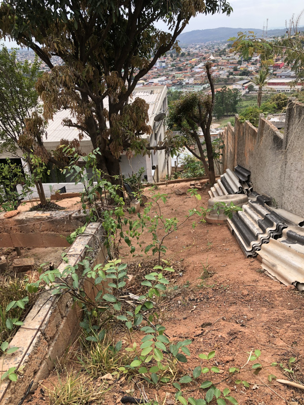 Terreno à venda São Pedro com 180m² e 1 quarto por R$ 95.000 - 1597258406-fccb247f-c71b-4c0f-a682-78d3b3ef5470.jpeg