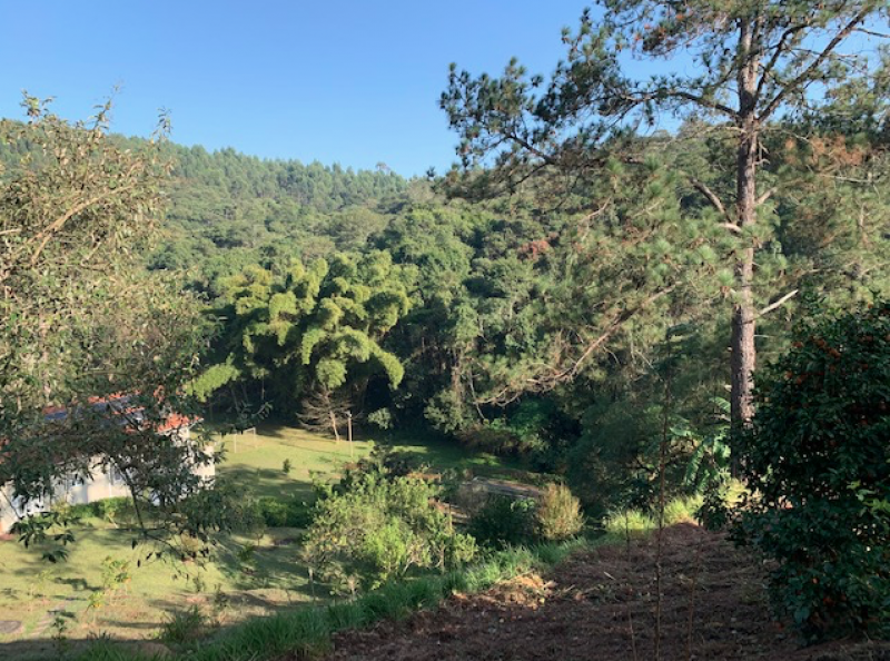 Chácara à venda Centro com 28m² e 4 quartos por R$ 4.500.000 - 1508939372-captura-de-tela-2022-10-04-as-10.png