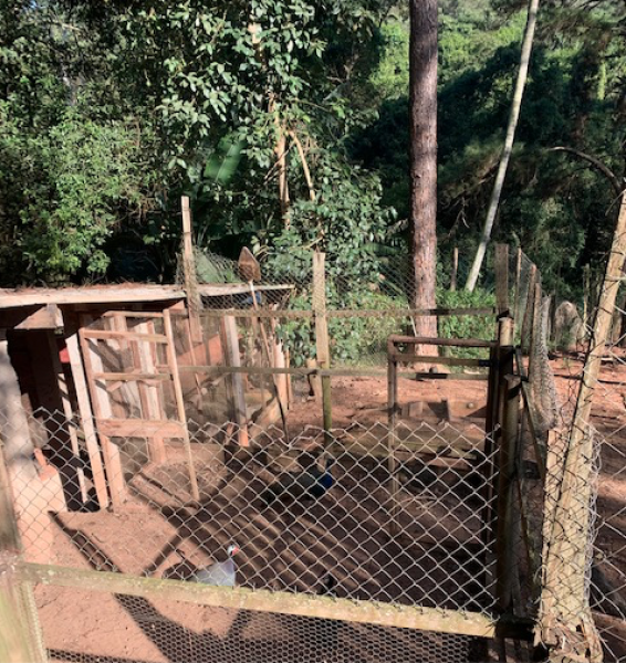 Chácara à venda Centro com 28m² e 4 quartos por R$ 4.500.000 - 641562526-captura-de-tela-2022-10-04-as-10.png