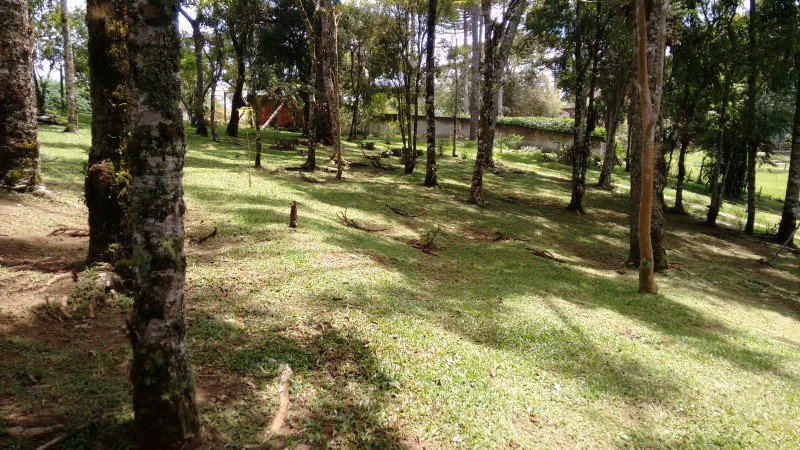 Chácara à venda Chácara Olhos D'água com 8281m² e 3 quartos por R$ 650.000 - 1001907612-imagens-smartphone-528.jpg