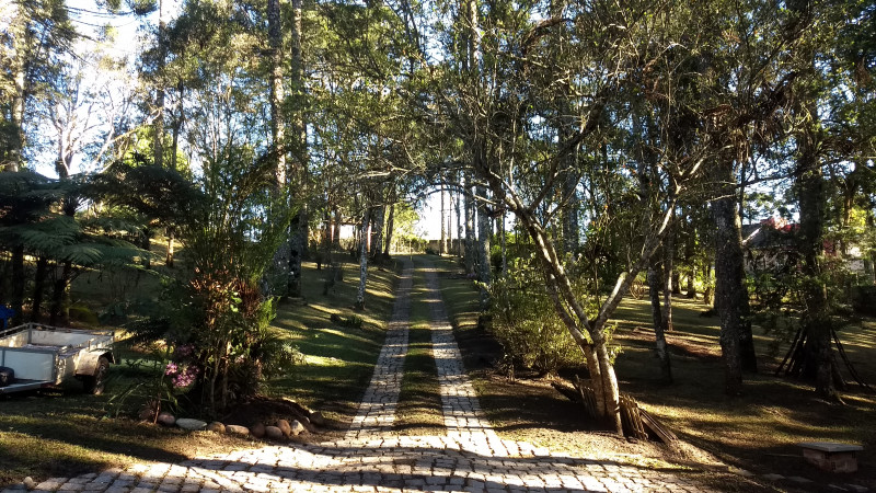 Chácara à venda Chácara Olhos D'água com 8281m² e 3 quartos por R$ 650.000 - 1088975098-img-20220923-074117153.jpg