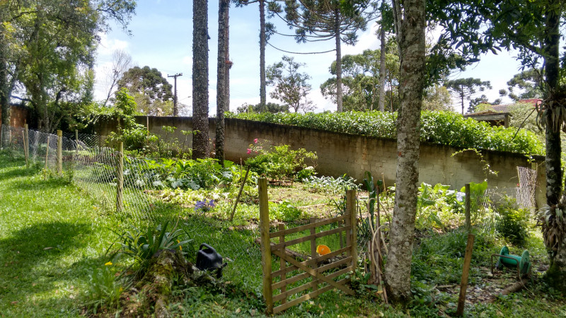 Chácara à venda Chácara Olhos D'água com 8281m² e 3 quartos por R$ 650.000 - 1147909671-imagens-smartphone-520.jpg