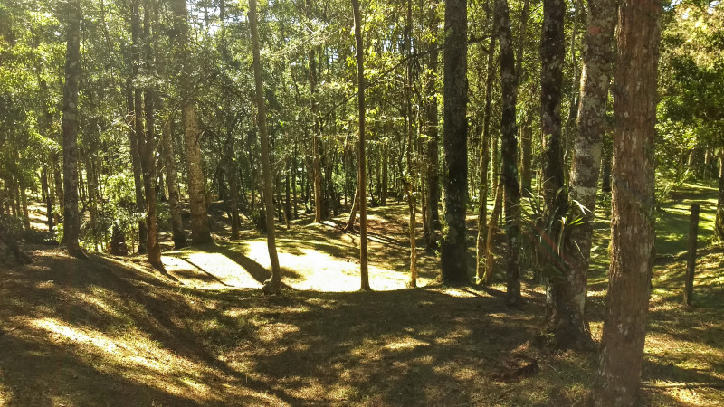 Chácara à venda Chácara Olhos D'água com 8281m² e 3 quartos por R$ 650.000 - 1247614801-img-20220923-1004191832.jpg