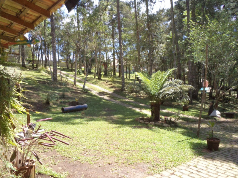 Chácara à venda Chácara Olhos D'água com 8281m² e 3 quartos por R$ 650.000 - 1286161859-dsc04289.JPG
