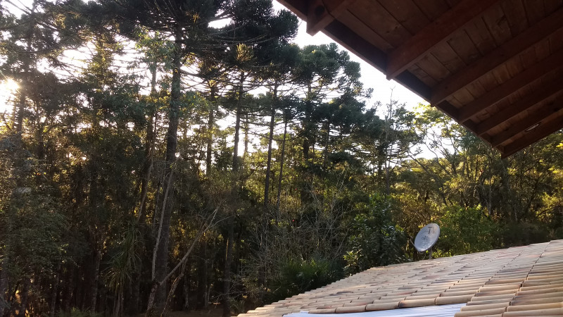 Chácara à venda Chácara Olhos D'água com 8281m² e 3 quartos por R$ 650.000 - 1742619405-img-20220923-065531649.jpg