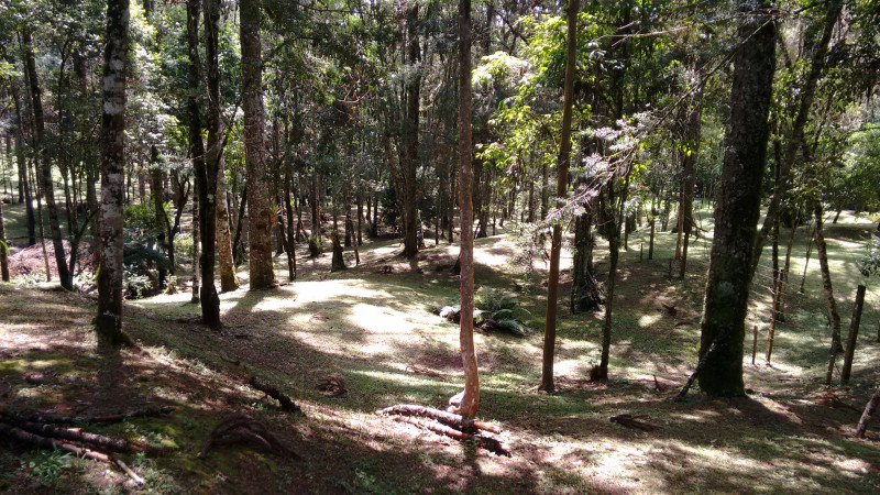 Chácara à venda Chácara Olhos D'água com 8281m² e 3 quartos por R$ 650.000 - 1863701399-imagens-smartphone-510.jpg