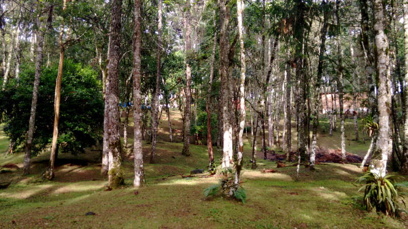 Chácara à venda Chácara Olhos D'água com 8281m² e 3 quartos por R$ 650.000 - 1870829929-imagens-smartphone-489.jpg