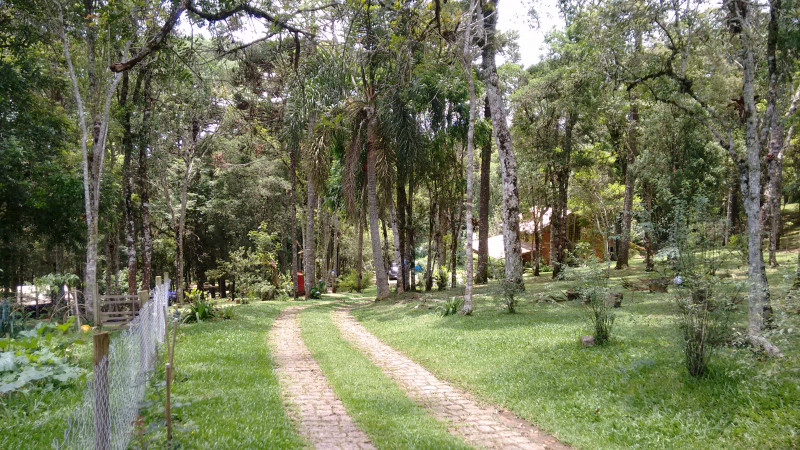Chácara à venda Chácara Olhos D'água com 8281m² e 3 quartos por R$ 650.000 - 1880780665-imagens-smartphone-542.jpg