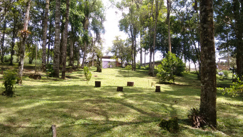 Chácara à venda Chácara Olhos D'água com 8281m² e 3 quartos por R$ 650.000 - 1905590261-imagens-smartphone-518.jpg