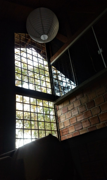 Chácara à venda Chácara Olhos D'água com 8281m² e 3 quartos por R$ 650.000 - 1931456966-img-20220923-0624433502.jpg