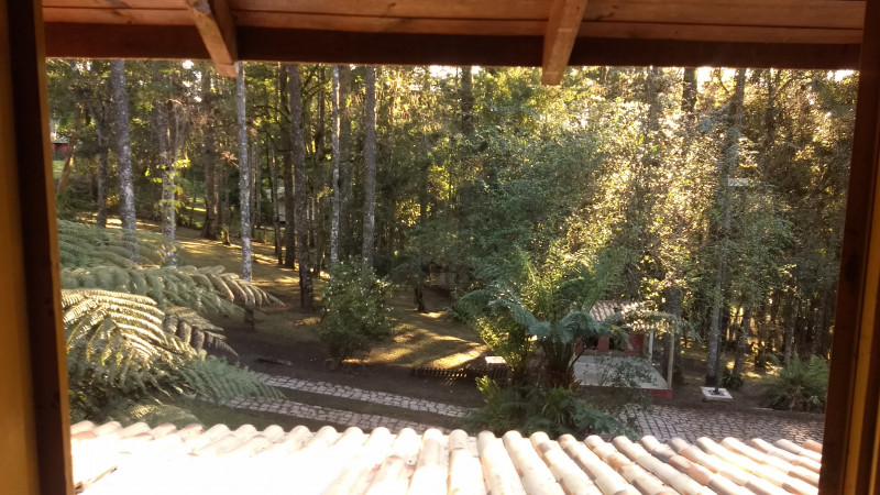 Chácara à venda Chácara Olhos D'água com 8281m² e 3 quartos por R$ 650.000 - 326450263-img-20220923-065452940.jpg