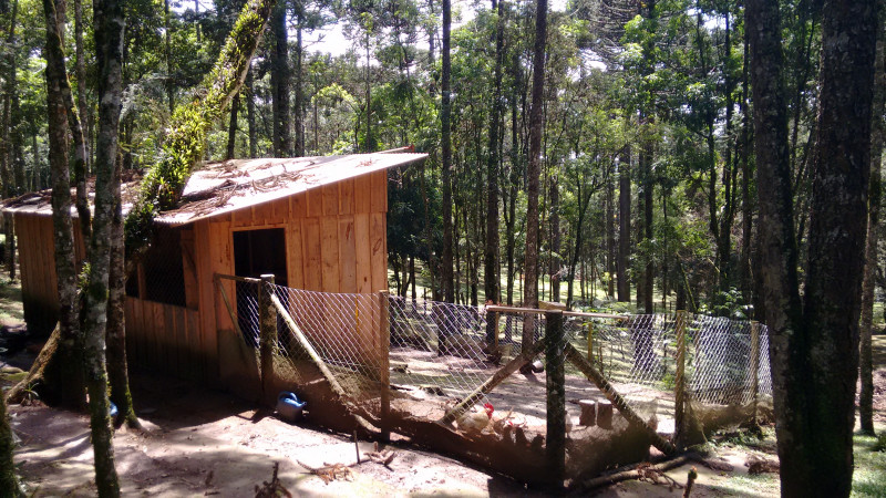 Chácara à venda Chácara Olhos D'água com 8281m² e 3 quartos por R$ 650.000 - 660410981-imagens-smartphone-513.jpg