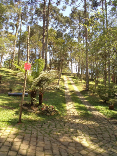 Chácara à venda Chácara Olhos D'água com 8281m² e 3 quartos por R$ 650.000 - 668408236-dsc04296.JPG