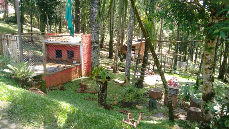 Chácara à venda Chácara Olhos D'água com 8281m² e 3 quartos por R$ 650.000 - 876979990-imagens-smartphone-507.jpg