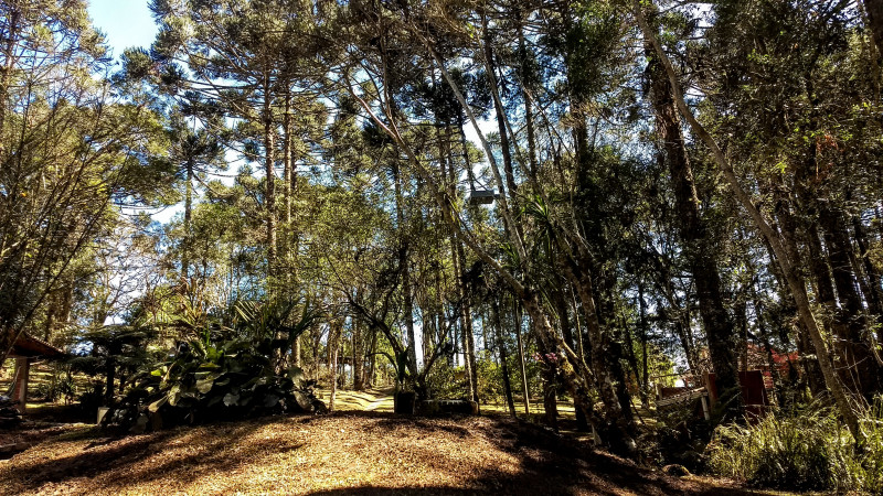 Chácara à venda Chácara Olhos D'água com 8281m² e 3 quartos por R$ 650.000 - 976068594-img-20220923-1004577462.jpg