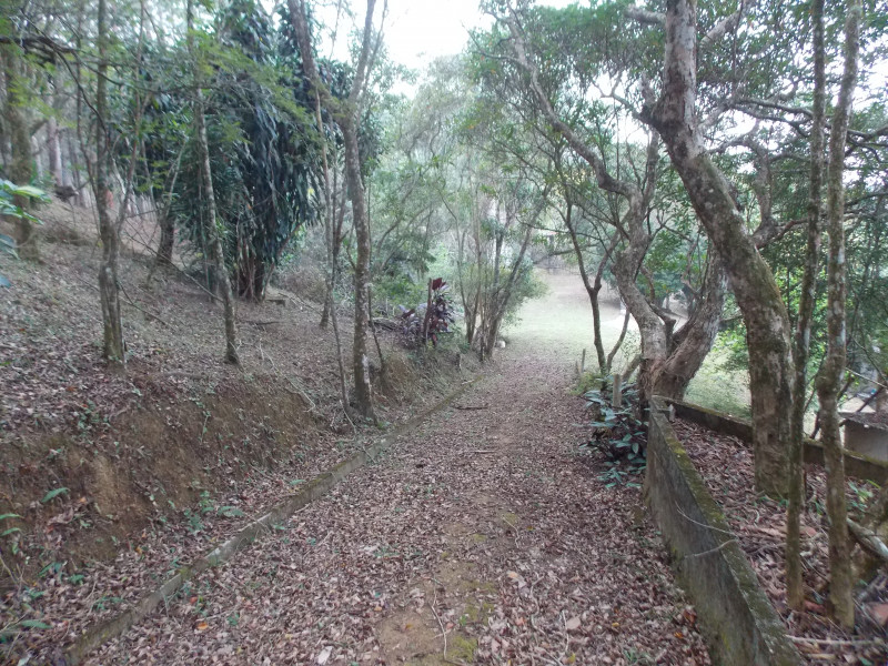 Chácara à venda Freitas com 5000m² e 3 quartos por R$ 850.000 - 1473000410-dscn0011.JPG