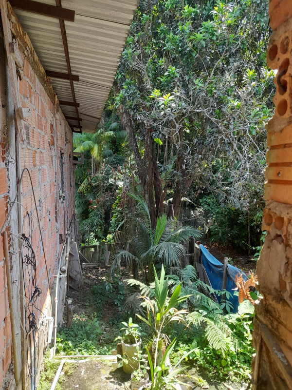 Casa à venda japiim com 50m² e 1 quarto por R$ 75.000 - 444470056-20220909-103230.jpg