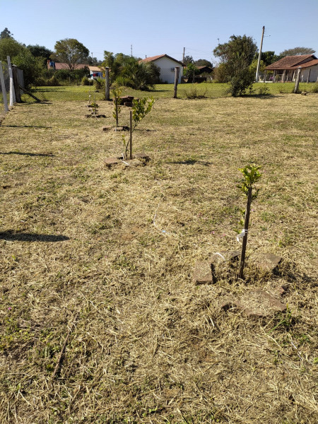 Terreno à venda Morro Grande com 550m² e 1 quarto por R$ 120.000 - 27716140-img-20220822-wa0008.jpg