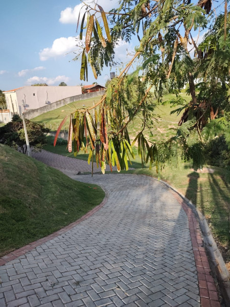 Terreno à venda Centro com 1011m² e 1 quarto por R$ 350.000 - 206938289-itupeva-05.jpg