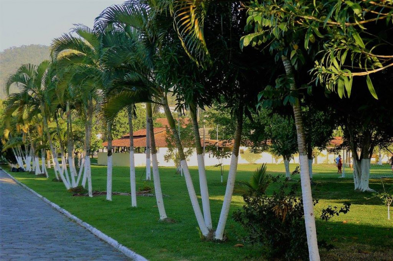 Terreno à venda Flamengo com 360m² e 1 quarto por R$ 140.000 - 1209359808-foto-14.jpg