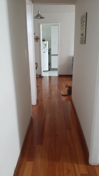 Apartamento à venda Praça Seca com 58m² e 2 quartos por R$ 170.000 - 7556681-corredor.png