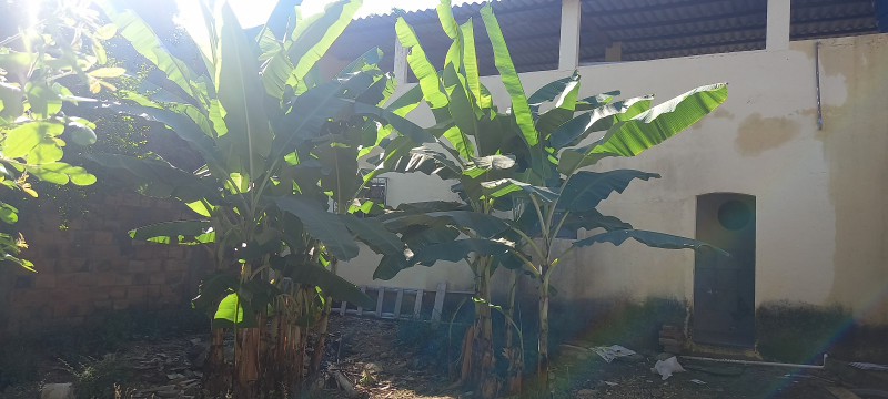 Casa à venda Centro com 360m² e 1 quarto por R$ 150.000 - 1385483433-20220723-141632.jpg