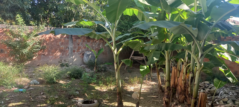 Casa à venda Centro com 360m² e 1 quarto por R$ 150.000 - 498161970-20220723-141647.jpg