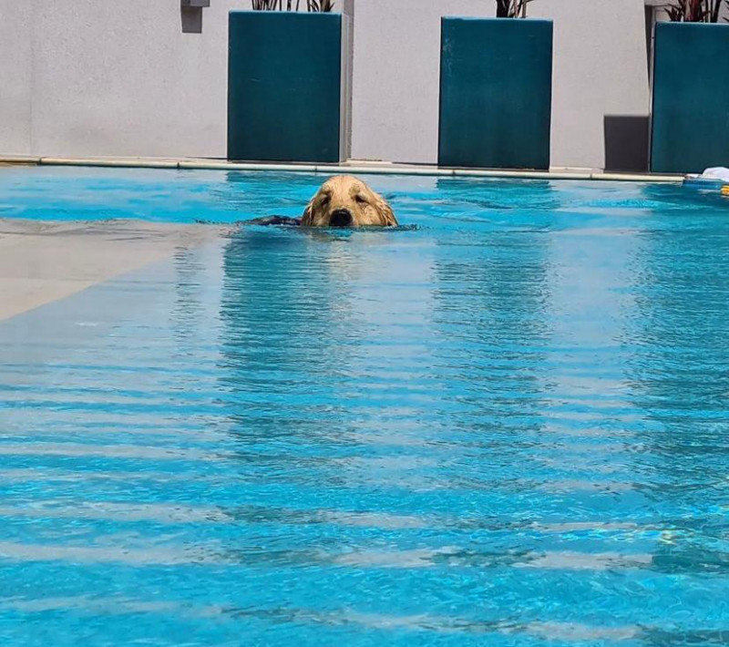 Casa de condomínio à venda Centro com 386m² e 4 quartos por R$ 2.100.000 - 698657112-65d4d5d5-c999-4308-a711-7e67136d318a.jpeg