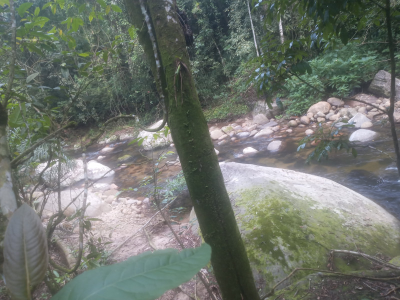 Terreno à venda Centro (Paraty) com 170m² e 1 quarto por R$ 50.000 - 1589838810-20221011-165848.jpg