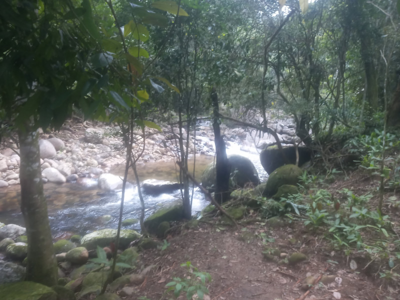 Terreno à venda Centro (Paraty) com 170m² e 1 quarto por R$ 50.000 - 1972757854-20221011-165857.jpg