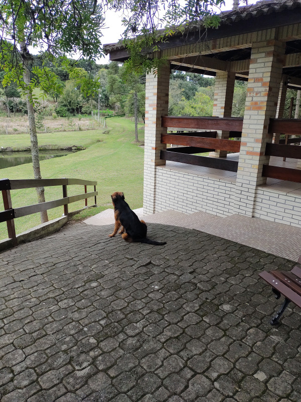 Chácara à venda Jardim Itaqui com 41745m² e 3 quartos por R$ 3.875.000 - 78460299-img-20220805-110647934.jpg