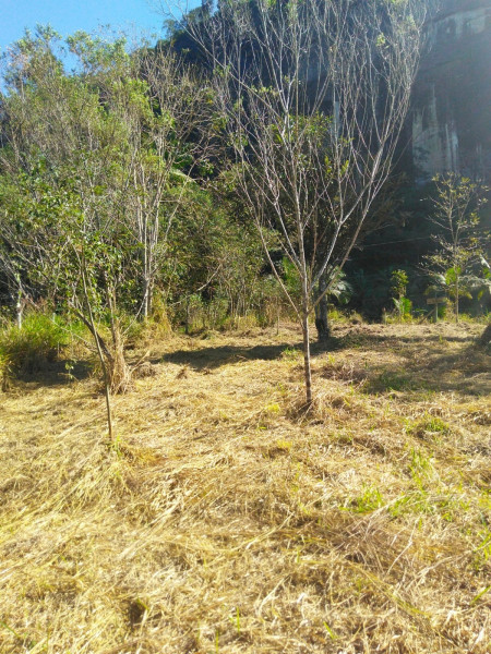 Sítio à venda Cordoeira com 15000m² e 5 quartos por R$ 650.000 - 1091446924-img-20220624-wa0033.jpg