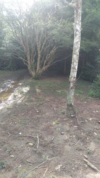 Sítio à venda Cordoeira com 15000m² e 5 quartos por R$ 650.000 - 1141444360-img-20220817-wa0071.jpg