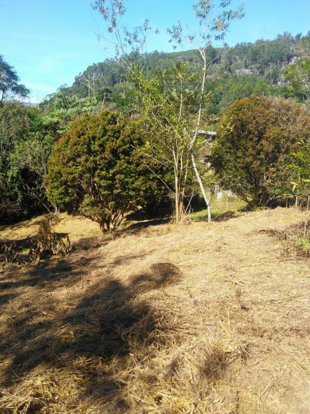Sítio à venda Cordoeira com 15000m² e 5 quartos por R$ 650.000 - 1307642086-img-20220624-wa0045.jpg