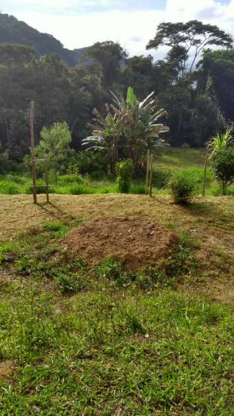 Sítio à venda Cordoeira com 15000m² e 5 quartos por R$ 650.000 - 1332439069-img-20221014-wa0045.jpg